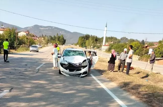 Sinop'ta İnek Kazası: İki Çocuk Yaralandı