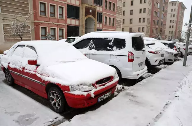 Muş ve Bitlis'te Etkili Kar Yağışı Ulaşımı Olumsuz Etkiledi