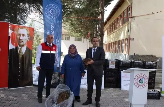 İskilip'te Üreticilere %70 Hibe Desteğiyle 140 Bin Çilek Fidesi Dağıtıldı