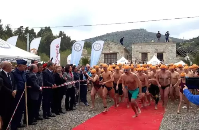 Sporcular, Sokak Hayvanları İçin Kış Ortasında Kulaç Attı