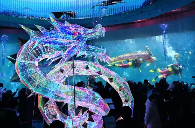 Qingdao Polar Okyanus Parkı'nda Su Altı Ejderha Dansı Gösterisi