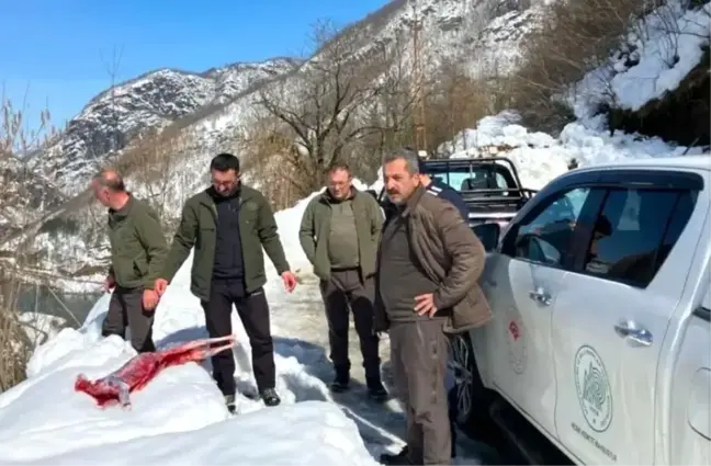 Artvin'de Kaçak Avcılara Suçüstü: 41 Bin TL Cezalı Operasyon