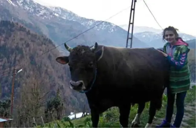 Hayvansever Bahar, 4'üncü Üniversite Olarak Veterinerlik Okuyor