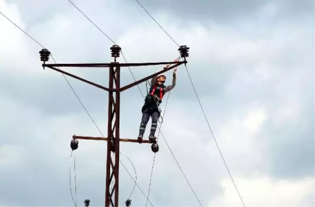 DEDAŞ'tan Mardin'de borcu olan çiftçilere 'elektrik verilmeyecek' uyarısı