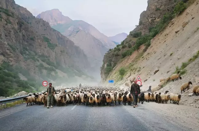 Göçerler Hakkari'ye ulaştı