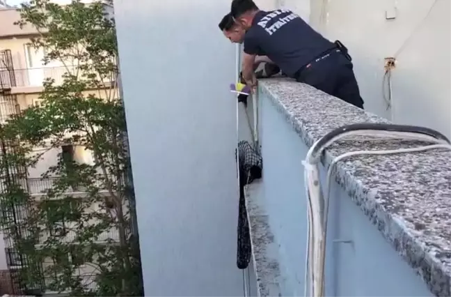 Aydın'da Çatıda Mahsur Kalan Yavru Kedi Kurtarıldı