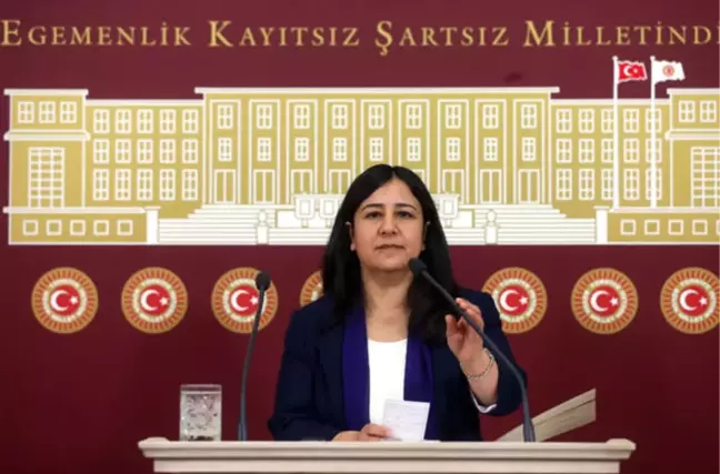 Gözaltına Alınan HDP Diyarbakır Milletvekili Çağlar Demirel Kimdir?