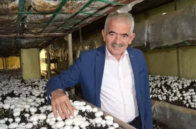 İşsizliği Sıfırladı Kahvehaneler Kapandı