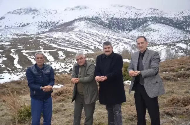 Günyüzü'nde Yaban Hayvanları İçin Araziye Yem Atıldı