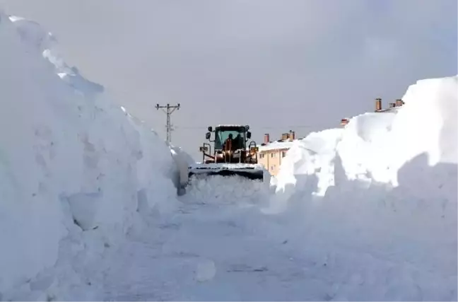 Bitlis'te Kar Yığınları Kamyonlarla Kent Dışına Taşınıyor