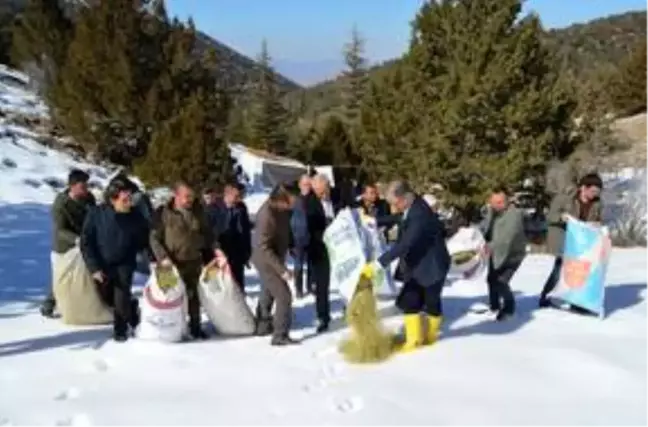 Elmalı'da yaban hayvanları için doğaya yem bırakıldı