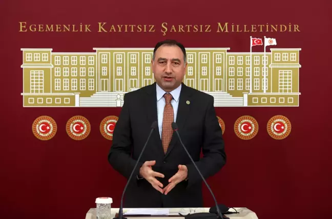 HDP'li Kenanoğlu: