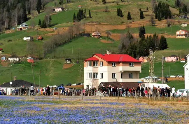 Trabzon'da, Kadıralak Yaylasının Doğal Güzelliği Korunmazsa Yok Olacak