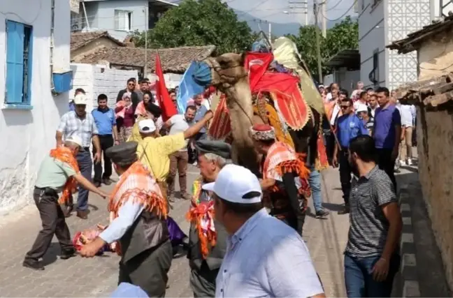 Manisa'da Geleneksel Bağbozumu Şenliği'nde Deve Üzerinde Yürüyüş Yapan Kadın Yere Düştü