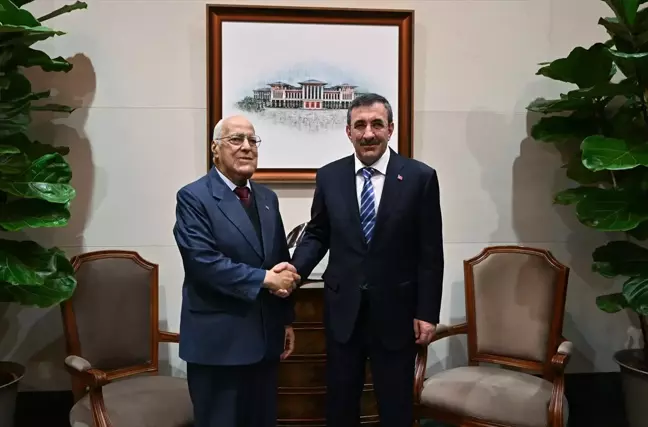 Cumhurbaşkanı Yardımcısı Cevdet Yılmaz, Küba Başbakan Yardımcısı ile görüştü