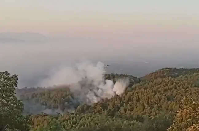 Aydın'da Orman Yangını 2. Gününde Devam Ediyor