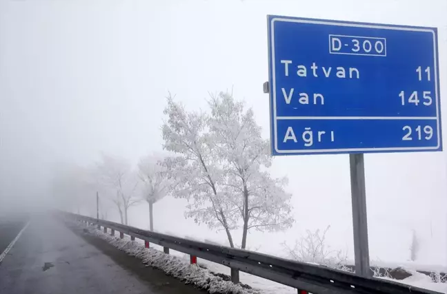 Bitlis'te Soğuk Hava ve Sis Etkili, Kırağı Oluştu