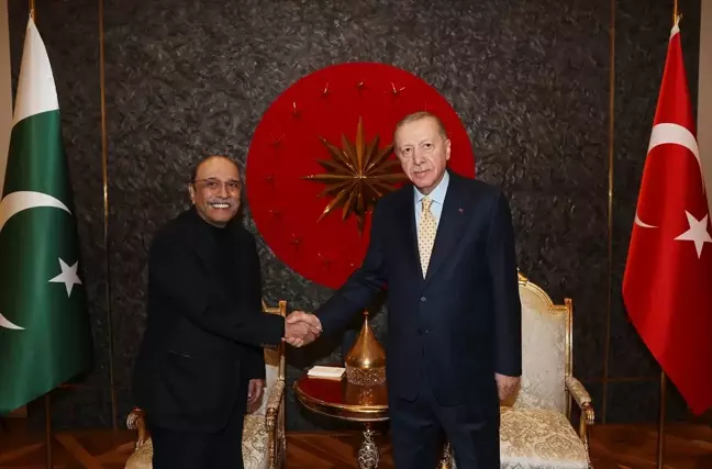 Cumhurbaşkanı Erdoğan, Pakistan Cumhurbaşkanı Zardari ile görüştü