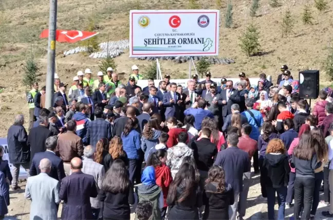 Çaycuma'da 15 Temmuz Demokrasi Şehitleri Hatıra Ormanı Oluşturuldu