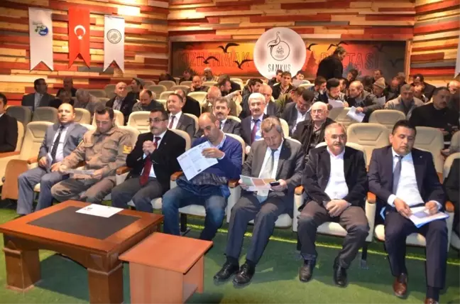 Manda Sütünün Markalaşma Yolculuğu