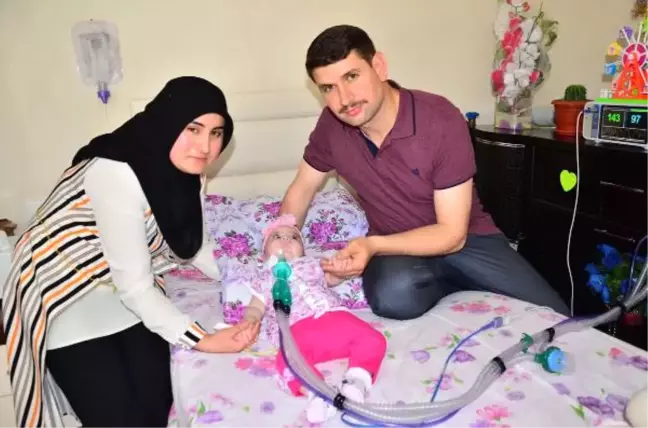 Zeynep Bebek İlacına Kavuşacak