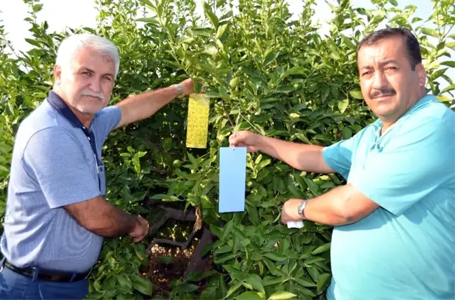 Erdemli Ziraat Odası Zararlılarla Mücadele Parseli Kurdu