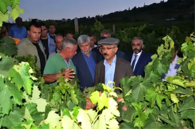 Kalkınma Bakanı Elvan: Milli Birliğimizden Taviz Vermeden Terörle Mücadele Edeceğiz (2)
