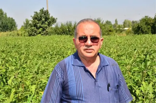 Kalem ve Defterli Okul İsteği