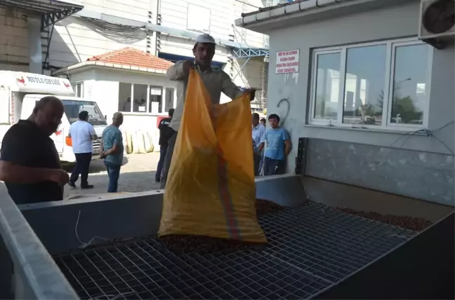 Üreticiler TMO'yu Tercih Ediyor