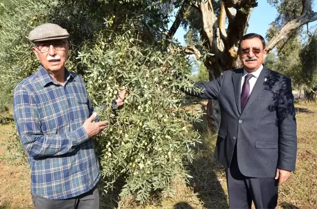 Milas'ta Halkalı Lekeyle Mücadelede Yüzde 80 Verim