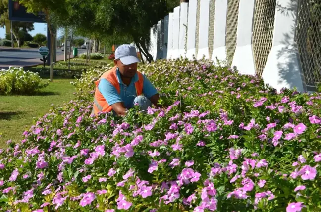 Alanya'ya 250 Bin Çiçek