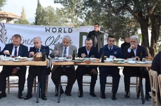 Akhisar'da Dünya Zeytin Günü Kutlandı