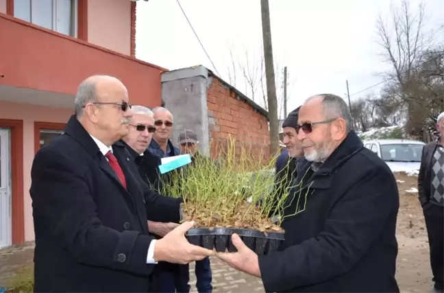 Kırsal Yaban Mersini ile Kalkınıyor