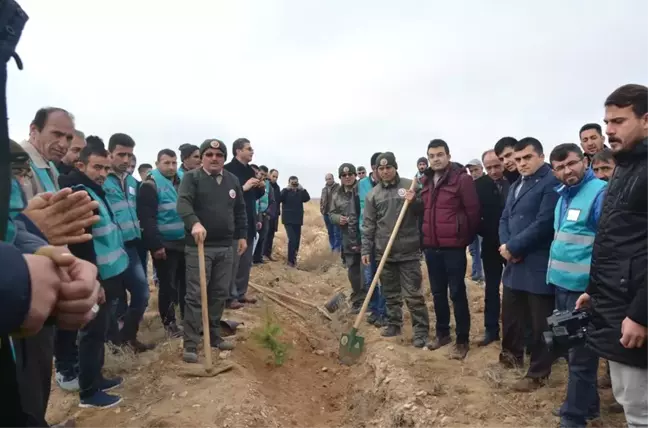 Karaman'da Denetimli Serbestlik Hükümlüleri Fidan Dikti