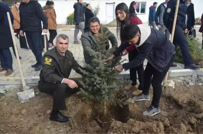 Fidanlar Okul Bahçesinde Hayat Buldu