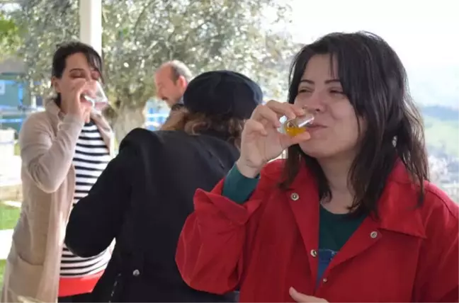 Adüsem'den Zeytinyağı Tadım Eğitimi