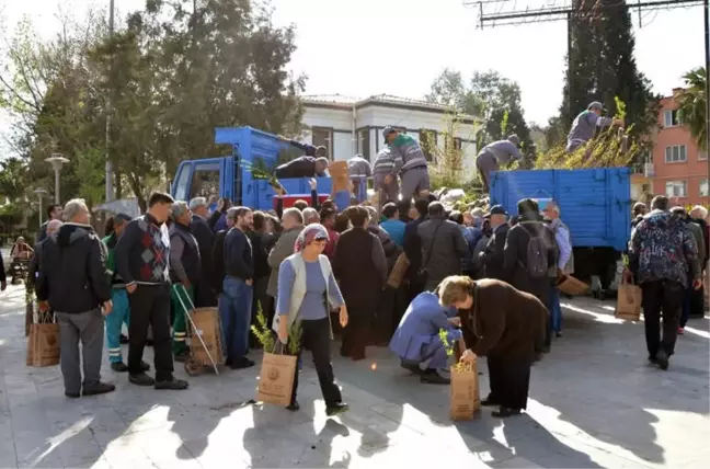 Milas'ta 8 Bin Fidan Dağıtıldı