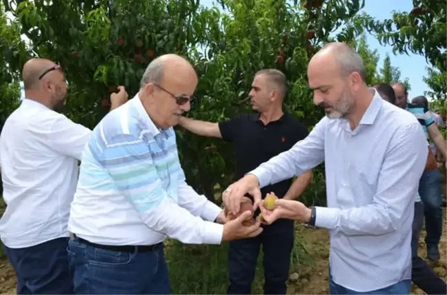 Doluzede Çiftçilere Destek