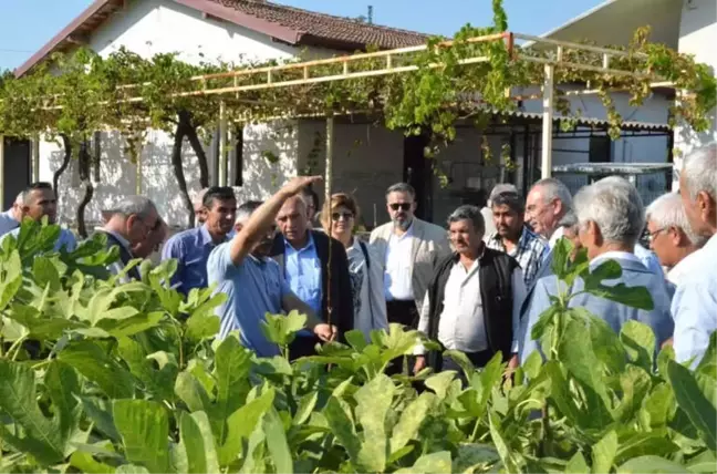 Yuntdağı Yunusemre ile Kalkınıyor