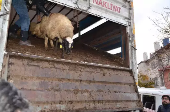 Darende'de Genç Çiftçilere Destekler Sürüyor
