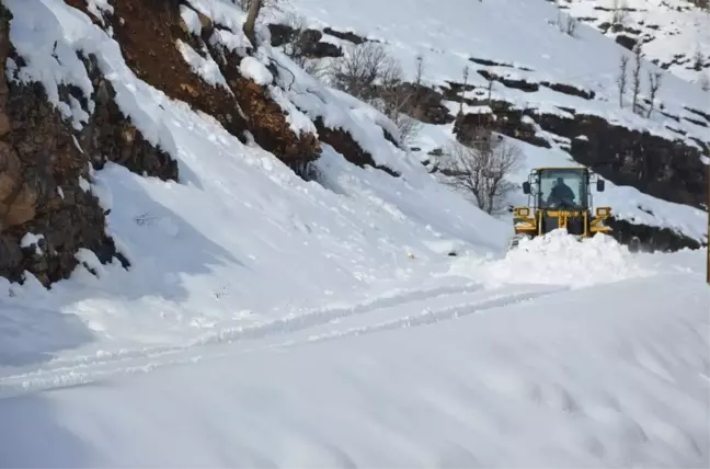 Köy Yoluna Çığ Düştü