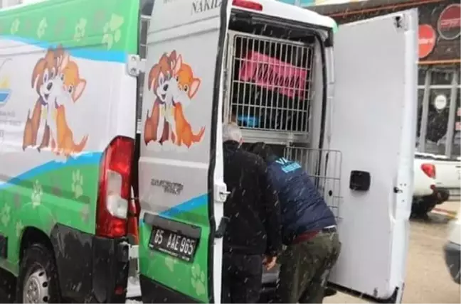Garip'in Çilesi Duyarlı Vatandaşla Bitti