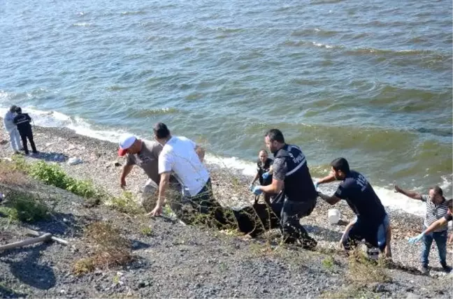 Küçükçekmece'de iş aramaya çıktı, cesedi Avcılar'da sahile vurdu