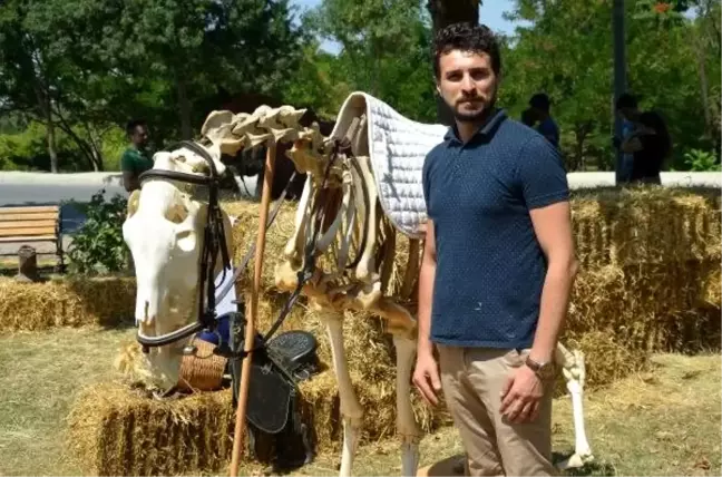 Üniversite adaylarına atlı, iskeletli tanıtım