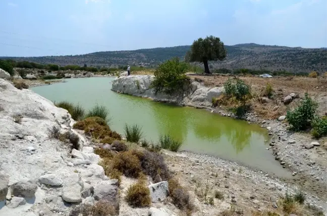 Aliağa, zengin su kaynaklarıyla dikkat çekiyor