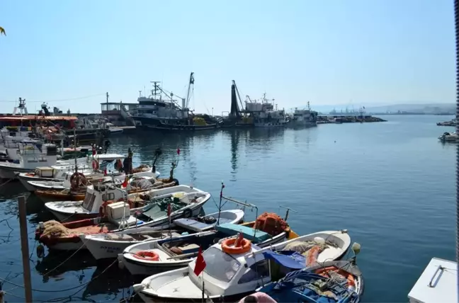 Tekirdağlı balıkçıların umudu 'Çinekop'
