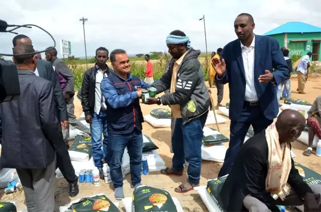 TİKA'dan Somaliland'de çiftçilere destek