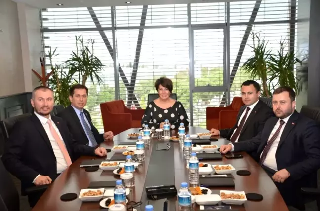 Ezine'de