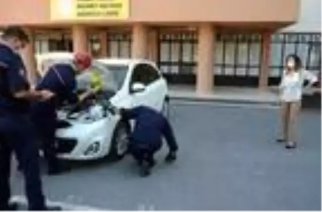 AVCILAR'DA OTOMOBİLDE SIKIŞAN YAVRU KEDİ İTFAİYE TARAFINDAN KURTARILDI
