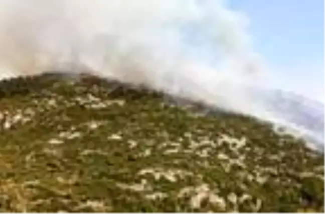 Son dakika haberi: Alanya'da makilik yangını